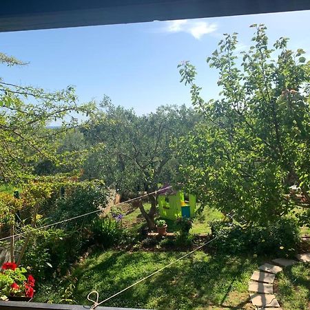 Apartman Dalija ヴィンクラン エクステリア 写真